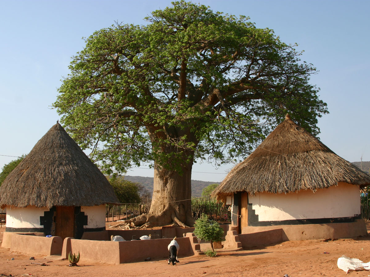 Home Baobab Foundation